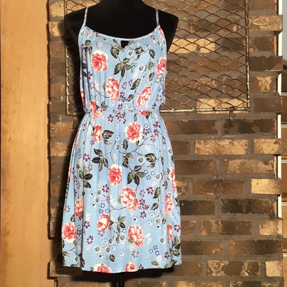 Pink Rose Vintage sleeveless dress blue floral M